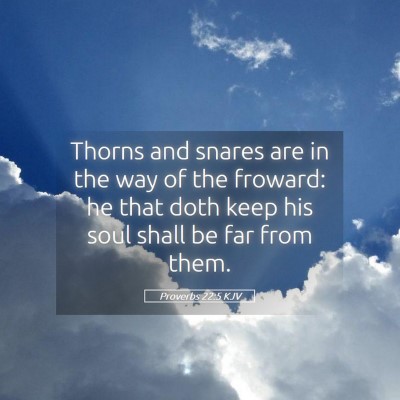 Picture 05 - Proverbs 22:5 KJV - Thorns and snares are in the way of the froward: - Bible Verse Picture