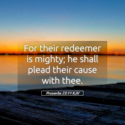 Picture 05 - Proverbs 23:11 KJV - For their redeemer is mighty; he shall plead - Bible Verse Picture