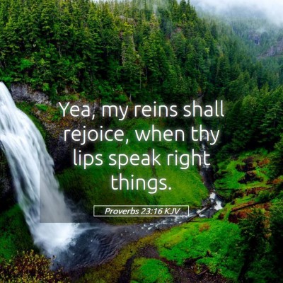 Picture 05 - Proverbs 23:16 KJV - Yea, my reins shall rejoice, when thy lips speak - Bible Verse Picture