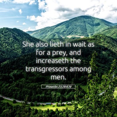 Picture 05 - Proverbs 23:28 KJV - She also lieth in wait as for a prey, and - Bible Verse Picture