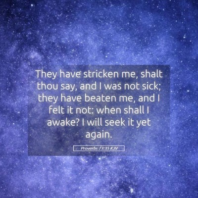 Picture 05 - Proverbs 23:35 KJV - They have stricken me, shalt thou say, and I was - Bible Verse Picture