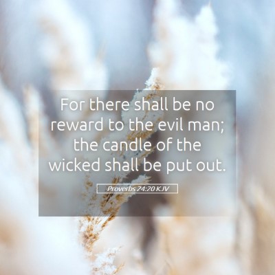 Picture 05 - Proverbs 24:20 KJV - For there shall be no reward to the evil man; the - Bible Verse Picture