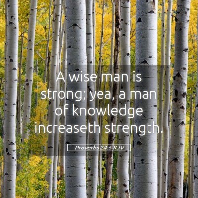 Picture 05 - Proverbs 24:5 KJV - A wise man is strong; yea, a man of knowledge - Bible Verse Picture