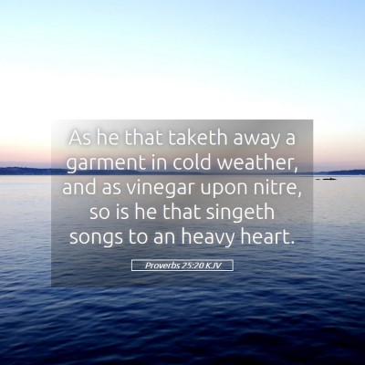 Picture 05 - Proverbs 25:20 KJV - As he that taketh away a garment in cold weather, - Bible Verse Picture