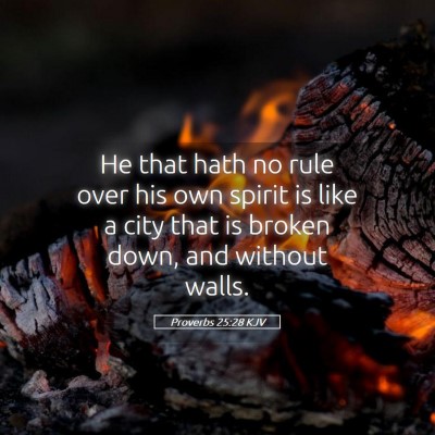 Picture 05 - Proverbs 25:28 KJV - He that hath no rule over his own spirit is like - Bible Verse Picture