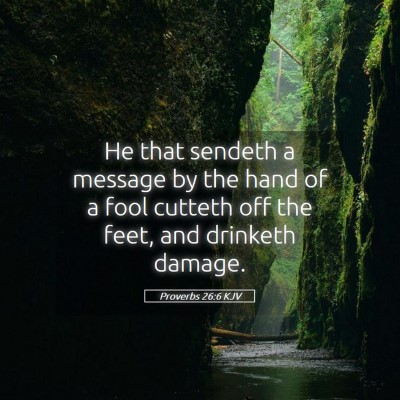Picture 05 - Proverbs 26:6 KJV - He that sendeth a message by the hand of a fool - Bible Verse Picture