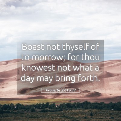 Picture 05 - Proverbs 27:1 KJV - Boast not thyself of to morrow; for thou knowest - Bible Verse Picture