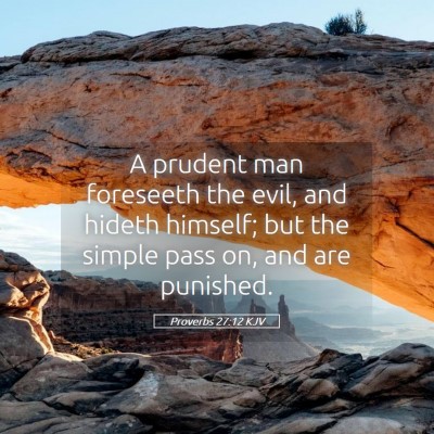 Picture 05 - Proverbs 27:12 KJV - A prudent man foreseeth the evil, and hideth - Bible Verse Picture