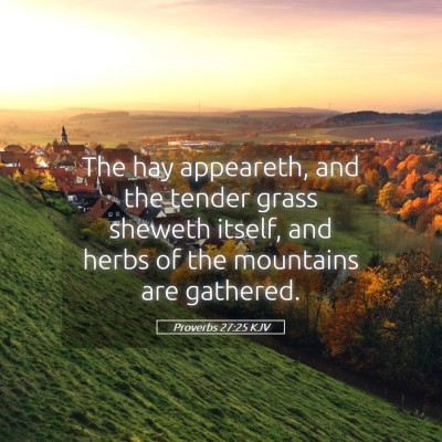 Picture 05 - Proverbs 27:25 KJV - The hay appeareth, and the tender grass sheweth - Bible Verse Picture