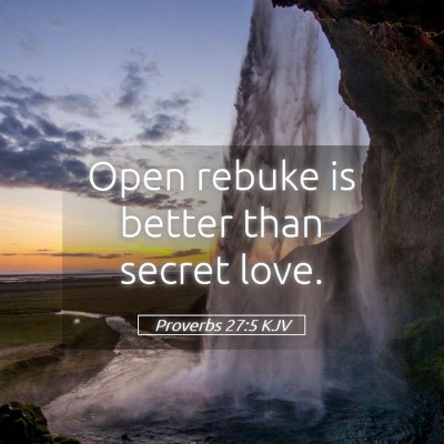 Picture 05 - Proverbs 27:5 KJV - Open rebuke is better than secret - Bible Verse Picture