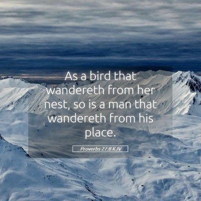Picture 05 - Proverbs 27:8 KJV - As a bird that wandereth from her nest, so is a - Bible Verse Picture