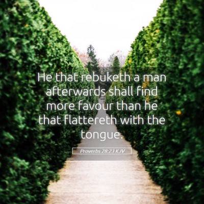 Picture 05 - Proverbs 28:23 KJV - He that rebuketh a man afterwards shall find more - Bible Verse Picture