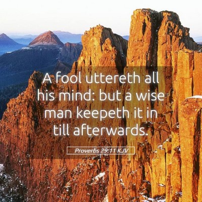 Picture 05 - Proverbs 29:11 KJV - A fool uttereth all his mind: but a wise man - Bible Verse Picture