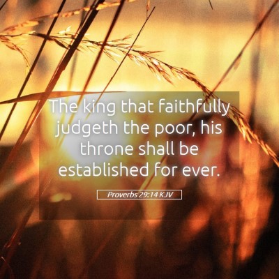 Picture 05 - Proverbs 29:14 KJV - The king that faithfully judgeth the poor, his - Bible Verse Picture