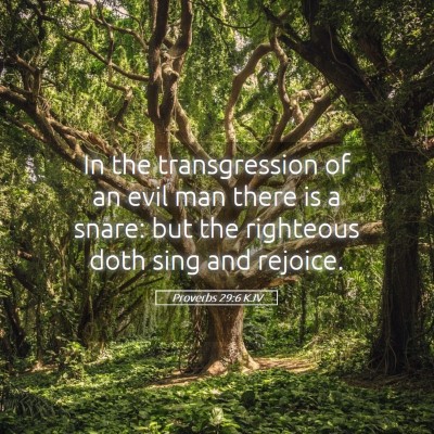 Picture 05 - Proverbs 29:6 KJV - In the transgression of an evil man there is a - Bible Verse Picture
