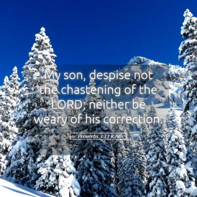 Picture 05 - Proverbs 3:11 KJV - My son, despise not the chastening of the LORD; - Bible Verse Picture