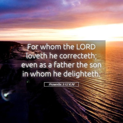 Picture 05 - Proverbs 3:12 KJV - For whom the LORD loveth he correcteth; even as a - Bible Verse Picture