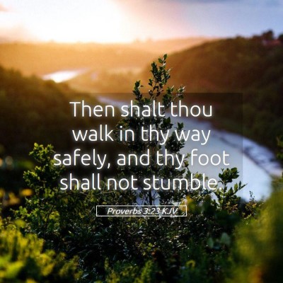 Picture 05 - Proverbs 3:23 KJV - Then shalt thou walk in thy way safely, and thy - Bible Verse Picture