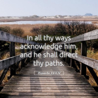 Picture 05 - Proverbs 3:6 KJV - In all thy ways acknowledge him, and he shall - Bible Verse Picture