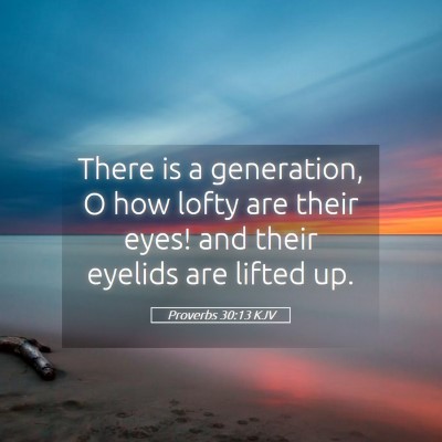 Picture 05 - Proverbs 30:13 KJV - There is a generation, O how lofty are their - Bible Verse Picture