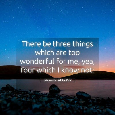 Picture 05 - Proverbs 30:18 KJV - There be three things which are too wonderful for - Bible Verse Picture