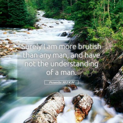 Picture 05 - Proverbs 30:2 KJV - Surely I am more brutish than any man, and have - Bible Verse Picture