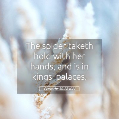 Picture 05 - Proverbs 30:28 KJV - The spider taketh hold with her hands, and is in - Bible Verse Picture
