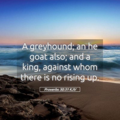 Picture 05 - Proverbs 30:31 KJV - A greyhound; an he goat also; and a king, against - Bible Verse Picture