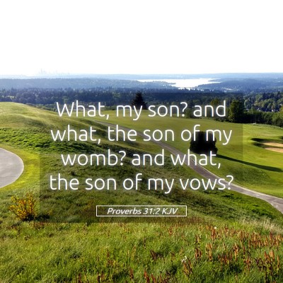 Picture 05 - Proverbs 31:2 KJV - What, my son? and what, the son of my womb? and - Bible Verse Picture