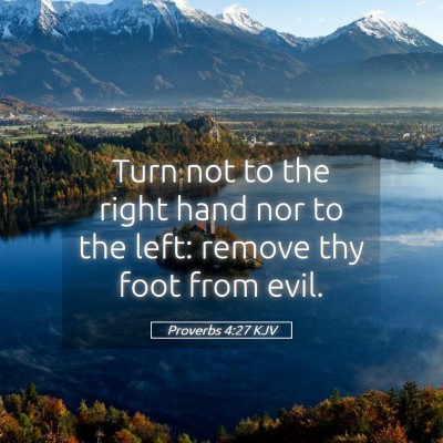 Picture 05 - Proverbs 4:27 KJV - Turn not to the right hand nor to the left: - Bible Verse Picture