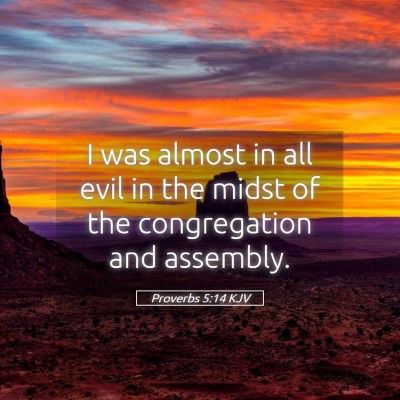Picture 05 - Proverbs 5:14 KJV - I was almost in all evil in the midst of the - Bible Verse Picture