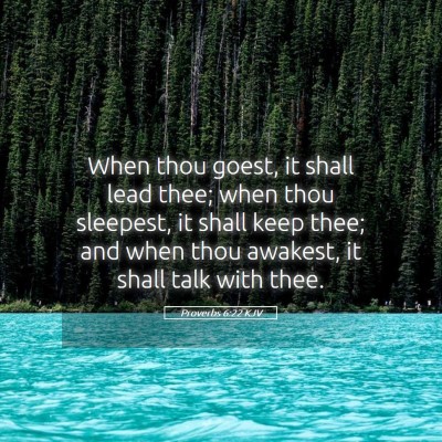 Picture 05 - Proverbs 6:22 KJV - When thou goest, it shall lead thee; when thou - Bible Verse Picture