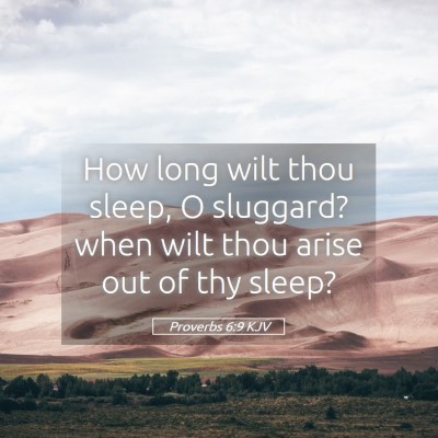 Picture 05 - Proverbs 6:9 KJV - How long wilt thou sleep, O sluggard? when wilt - Bible Verse Picture