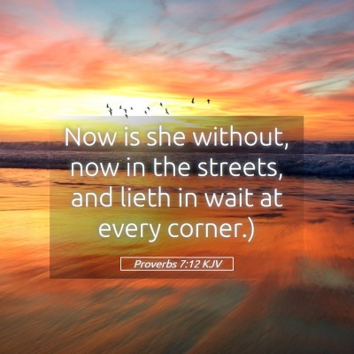 Picture 05 - Proverbs 7:12 KJV - Now is she without, now in the streets, and lieth - Bible Verse Picture