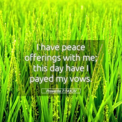 Picture 05 - Proverbs 7:14 KJV - I have peace offerings with me; this day have I - Bible Verse Picture