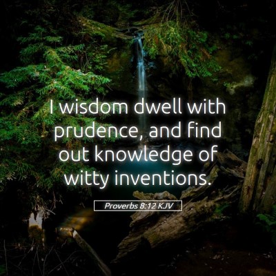 Picture 05 - Proverbs 8:12 KJV - I wisdom dwell with prudence, and find out - Bible Verse Picture