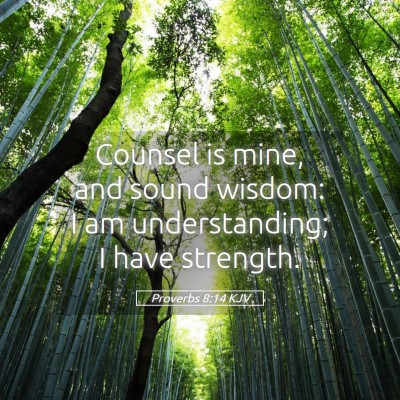 Picture 05 - Proverbs 8:14 KJV - Counsel is mine, and sound wisdom: I am - Bible Verse Picture