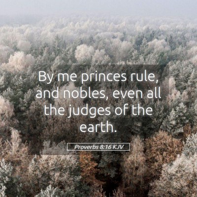 Picture 05 - Proverbs 8:16 KJV - By me princes rule, and nobles, even all the - Bible Verse Picture
