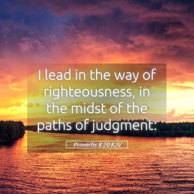 Picture 05 - Proverbs 8:20 KJV - I lead in the way of righteousness, in the midst - Bible Verse Picture