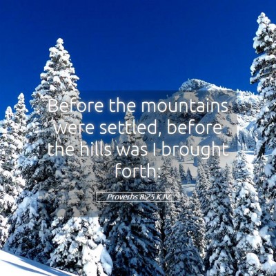 Picture 05 - Proverbs 8:25 KJV - Before the mountains were settled, before the - Bible Verse Picture