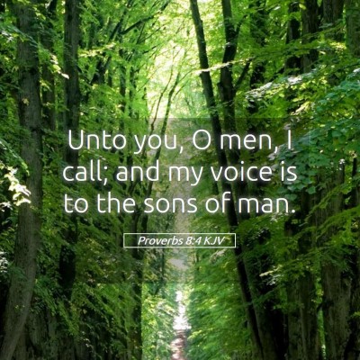 Picture 05 - Proverbs 8:4 KJV - Unto you, O men, I call; and my voice is to the - Bible Verse Picture