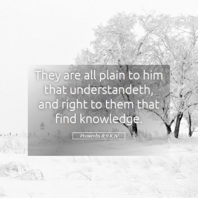 Picture 05 - Proverbs 8:9 KJV - They are all plain to him that understandeth, and - Bible Verse Picture