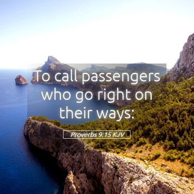 Picture 05 - Proverbs 9:15 KJV - To call passengers who go right on their - Bible Verse Picture