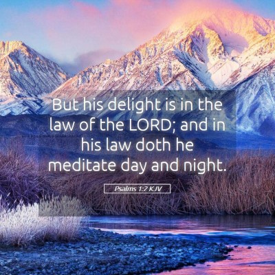 Picture 05 - Psalms 1:2 KJV - But his delight is in the law of the LORD; and in - Bible Verse Picture