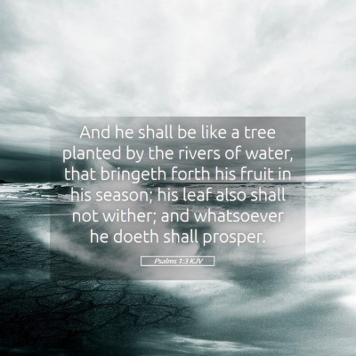 Picture 05 - Psalms 1:3 KJV - And he shall be like a tree planted by the rivers - Bible Verse Picture