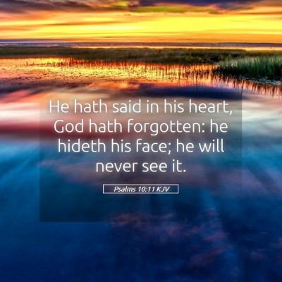 Picture 05 - Psalms 10:11 KJV - He hath said in his heart, God hath forgotten: he - Bible Verse Picture