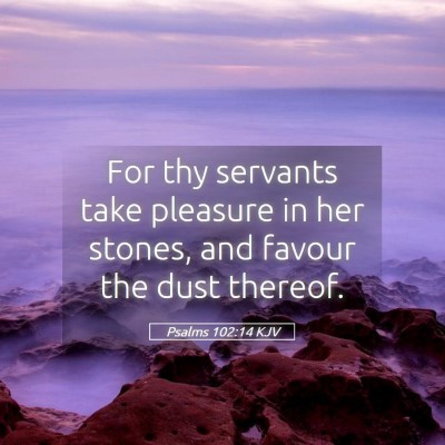 Picture 05 - Psalms 102:14 KJV - For thy servants take pleasure in her stones, and - Bible Verse Picture