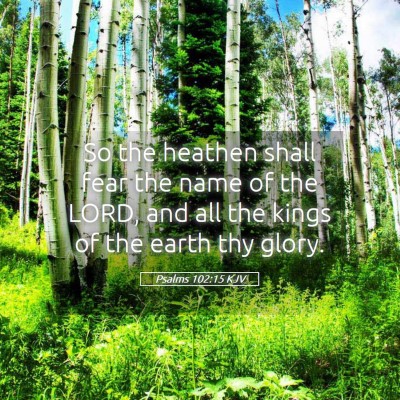 Picture 05 - Psalms 102:15 KJV - So the heathen shall fear the name of the LORD, - Bible Verse Picture