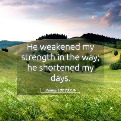 Picture 05 - Psalms 102:23 KJV - He weakened my strength in the way; he shortened - Bible Verse Picture
