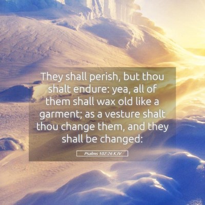 Picture 05 - Psalms 102:26 KJV - They shall perish, but thou shalt endure: yea, - Bible Verse Picture